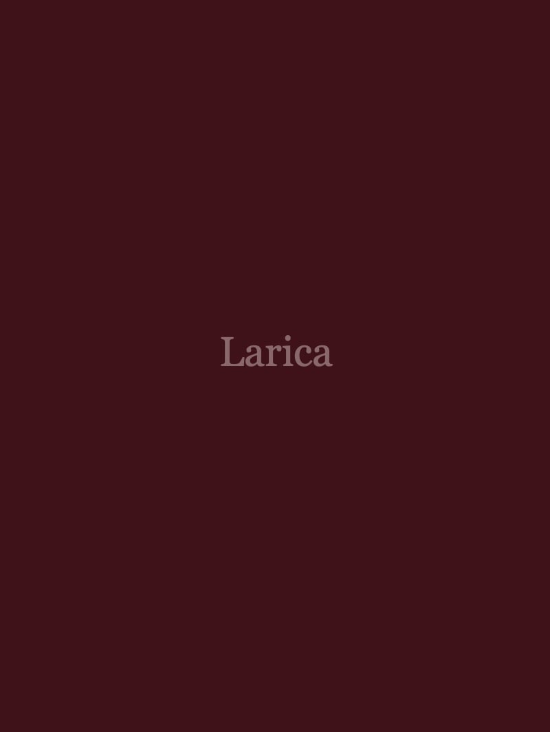 Larica gift voucher